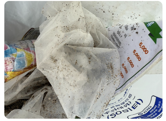 Spiritus: Eco Guardian of Hyeopjae Beach 2